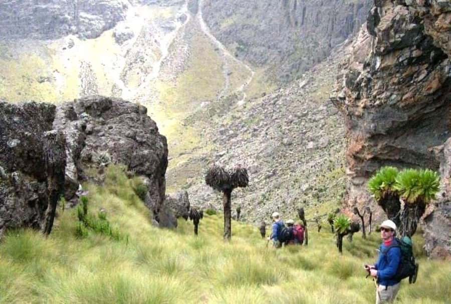 Nairobi: Mount Kenya Day Hike with Lunch - The guide can shape the whole day