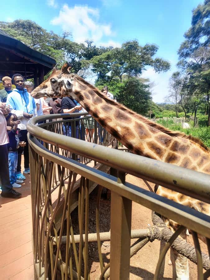 Nairobi: Museum, KICC, Giraffe Centre & Bomas of Kenya Tour - Bomas of Kenya and traditional performance