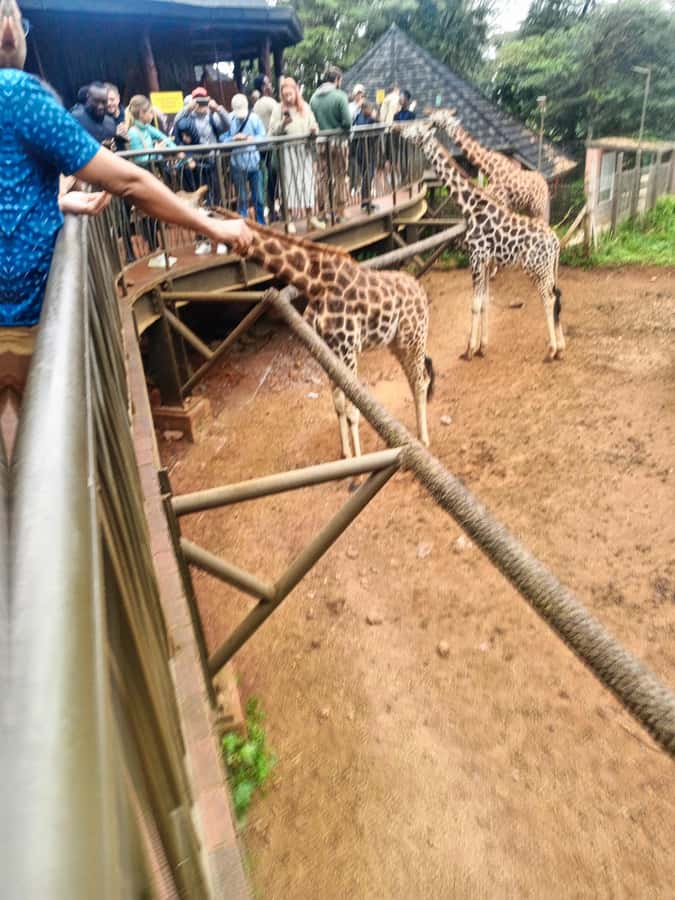 Nairobi: Museum, KICC, Giraffe Centre & Bomas of Kenya Tour - Who should book this Nairobi tour