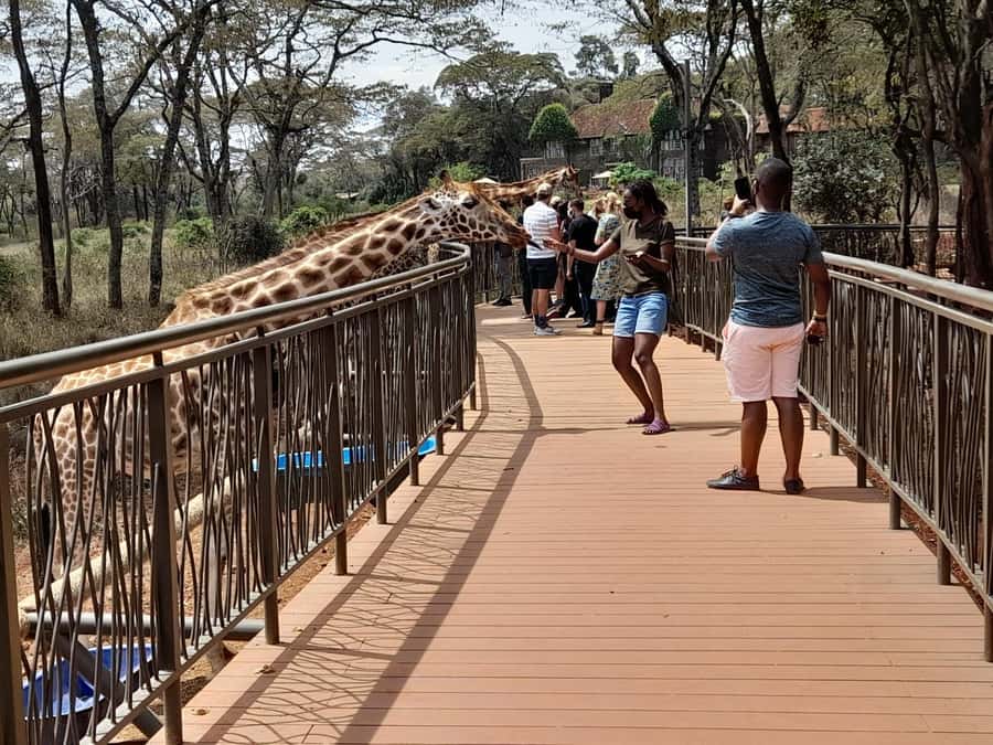 Nairobi:Nairobi national park,David sheldrick,GiraffeCenter - Who should book this half-day outing