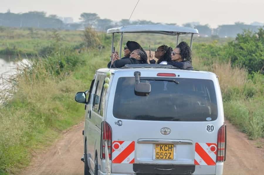 Nairobi: Nairobi National Park Half-Day Game Drive - Why Nairobi National Park Works So Well
