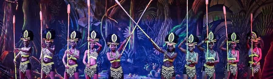Nairobi: Nairobi nightlife and Safari Park Hotel dinner - Who should choose this experience?