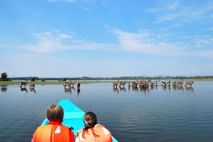Nairobi: Nakuru National Park and Lake Naivasha Day Tour - Who should book this day tour?