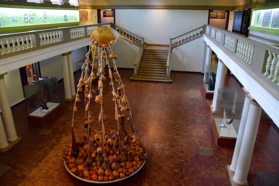 Nairobi National Museum and Snake Park Guided Day Tour - Key points to know before you go
