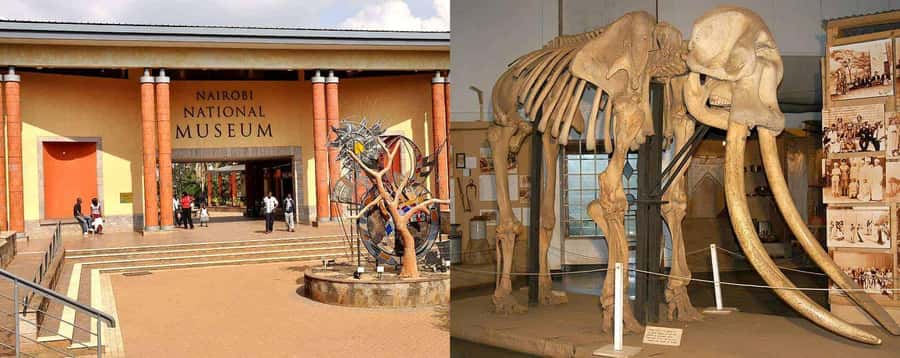 Nairobi National Museum and Snake Park Guided Day Tour - Nairobi National Museum: start with Kenya’s story
