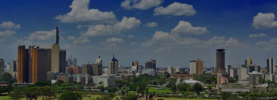 Nairobi National Museum & City Tour. - Walking Through Central Nairobi