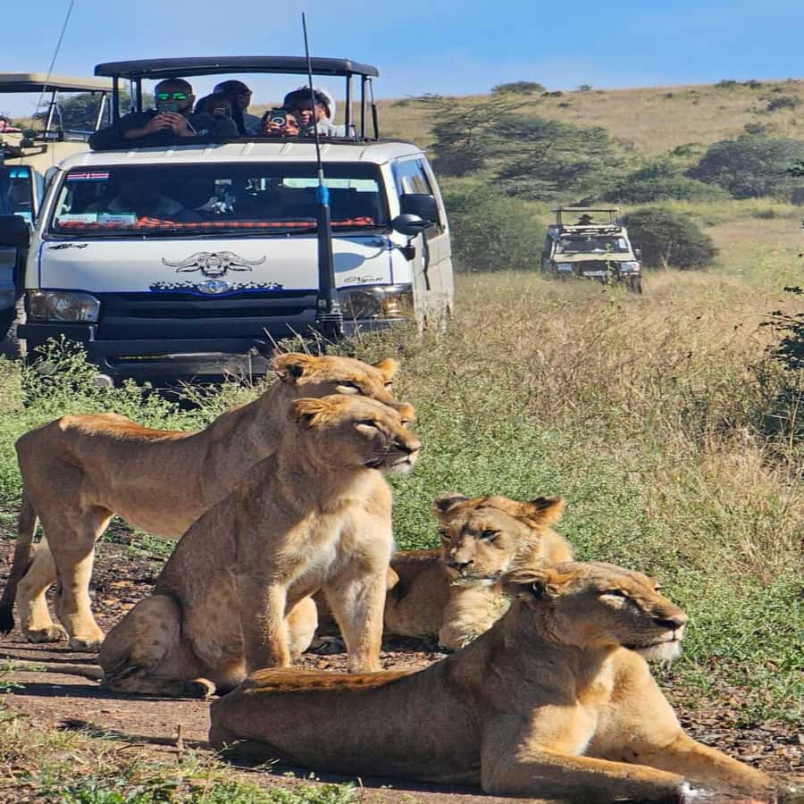 Nairobi National Park 5-hour Guided Game Drive Free Pick up - The details that matter most