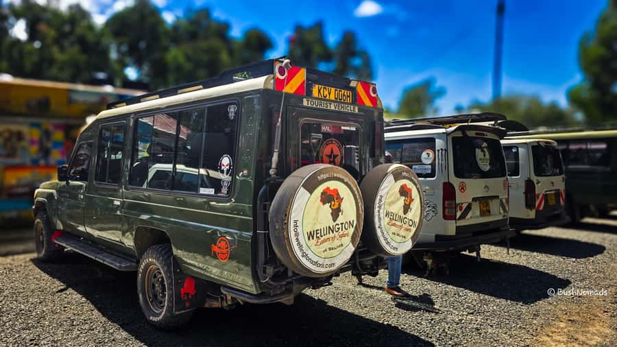 Nairobi National Park 5-hour Guided Game Drive Free Pick up - Birds, reptiles, and smaller animals
