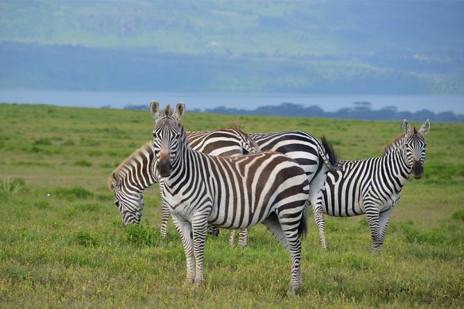 Nairobi National park - Is $300 a fair price?