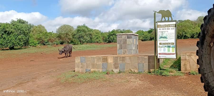 Nairobi National Park 6 am Group Joining Game drive. - Should you book it?