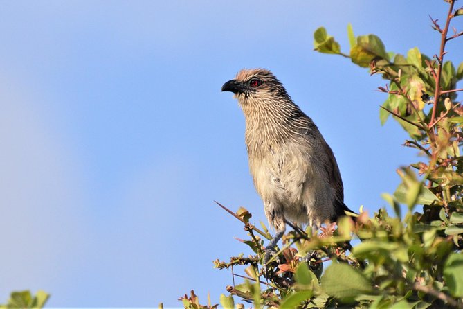 Nairobi National Park - Service, timekeeping, and the private setting