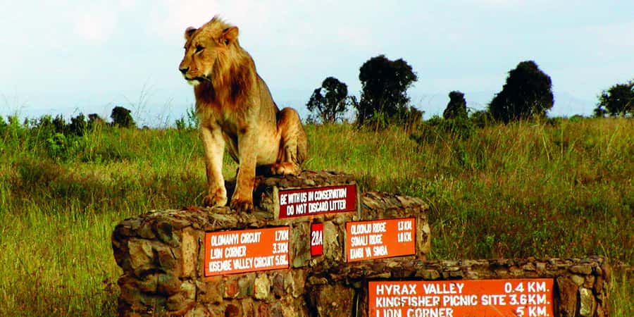Nairobi National Park –Adventure at City’s Edge Free PickUp - Why Nairobi National Park works so well