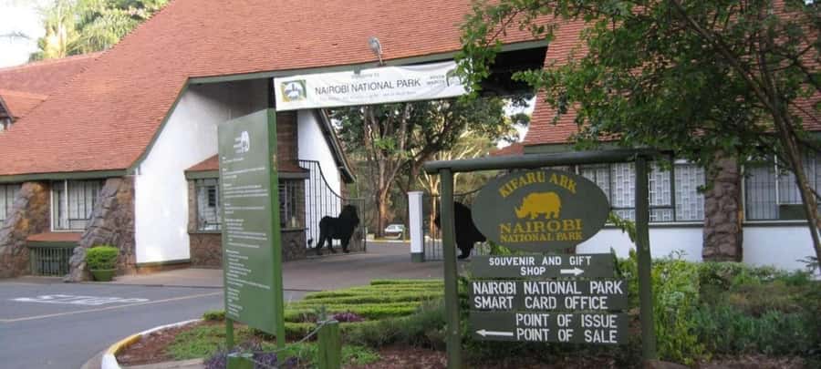 Nairobi National Park –Adventure at City’s Edge Free PickUp - The early pickup and open-roofed van