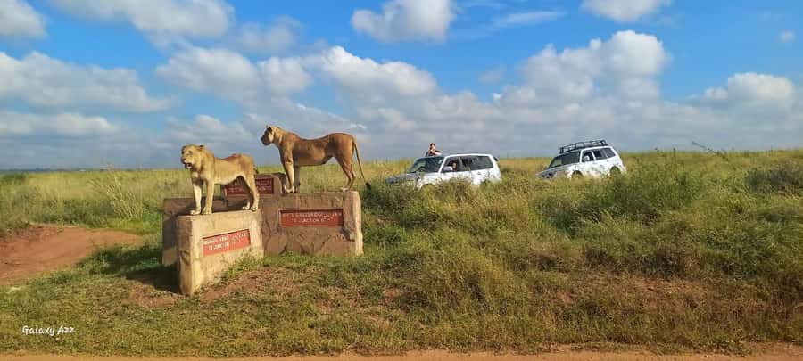 NAIROBI NATIONAL PARK AFTERNOON GAME DRIVE. - Booking details worth knowing