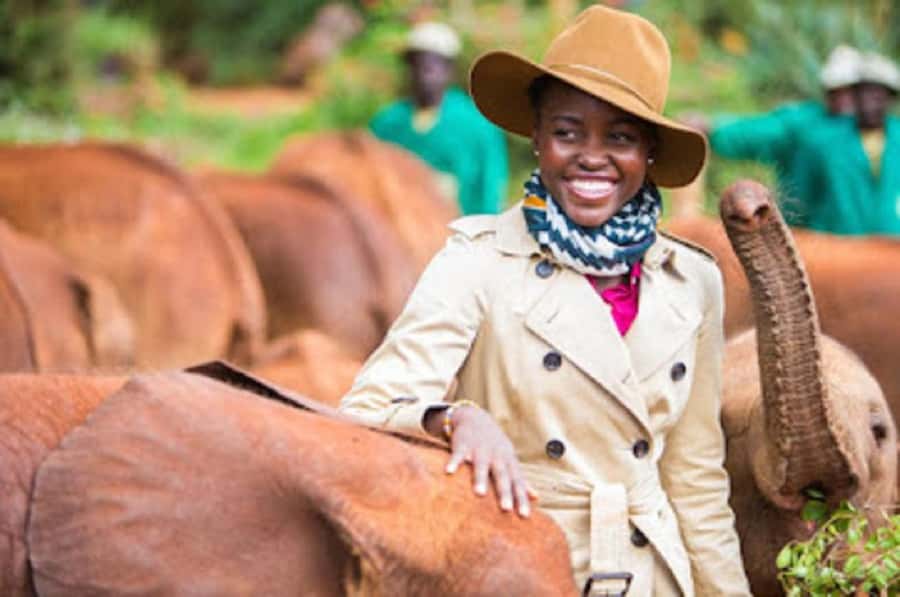 Nairobi national park and elephant orphanage - Key points to know before booking