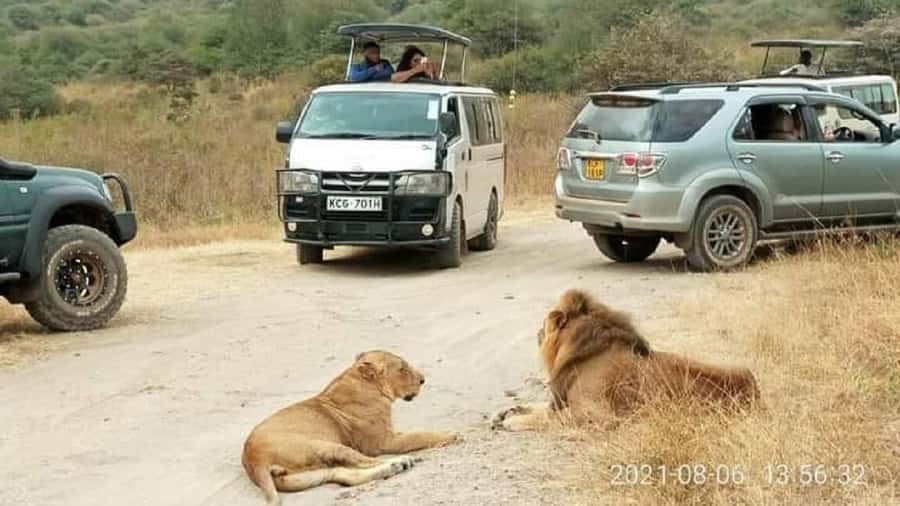 Nairobi national park and elephant orphanage - Nairobi National Park at 6:30 am