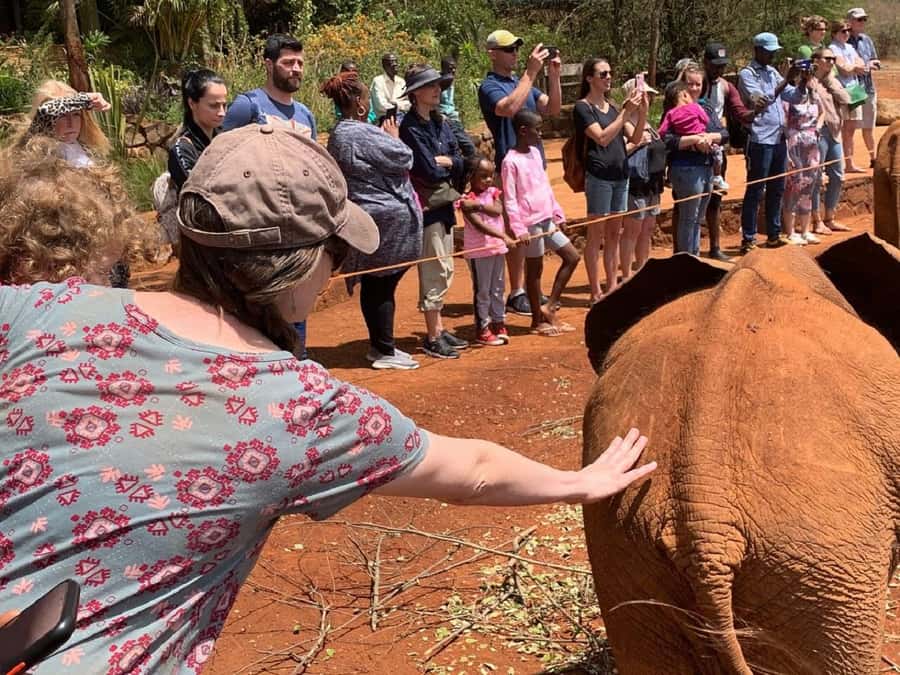 Nairobi national park and elephant orphanage - The David Sheldrick Wildlife Trust at 10:30 am