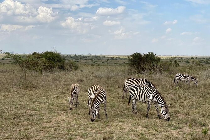 Nairobi national park and Giraffe center - What the private vehicle changes
