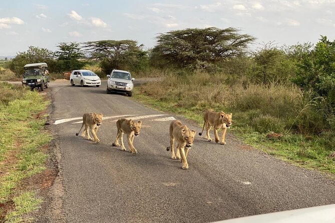 Nairobi national park and Giraffe center - Is $175 per person a fair price?