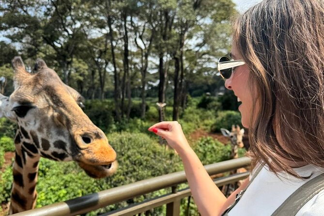 Nairobi National Park and Giraffe Center Daily Tours. - Why this Nairobi safari works so well