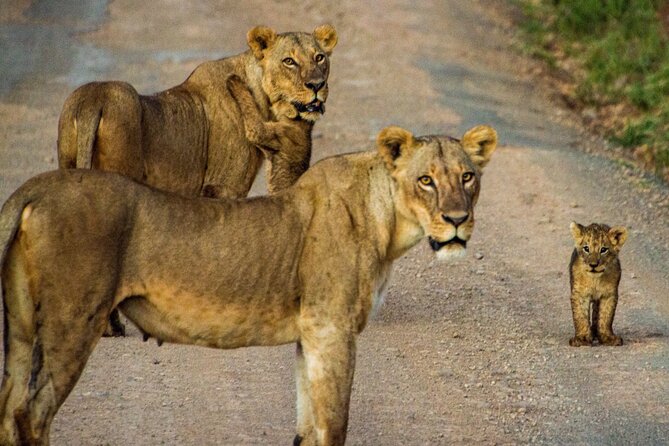 Nairobi National Park and Giraffe Center Daily Tours. - My verdict on the guides and service