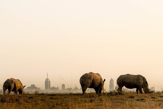 Nairobi National Park and Giraffe Center Day Tour - Why Nairobi National Park is the heart of the day