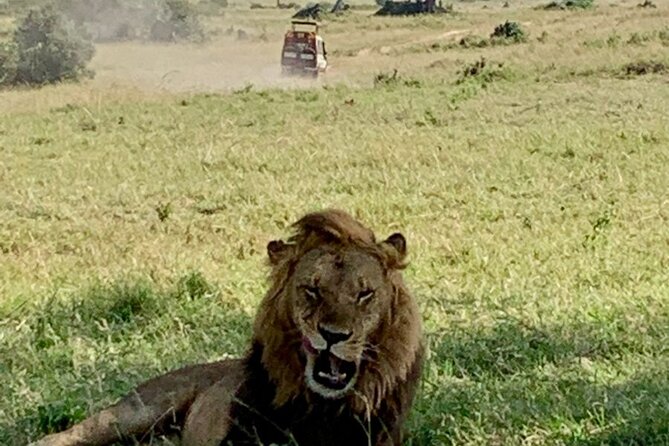 Nairobi National Park and Giraffe Center Day Tour - Who will enjoy this Nairobi day tour?
