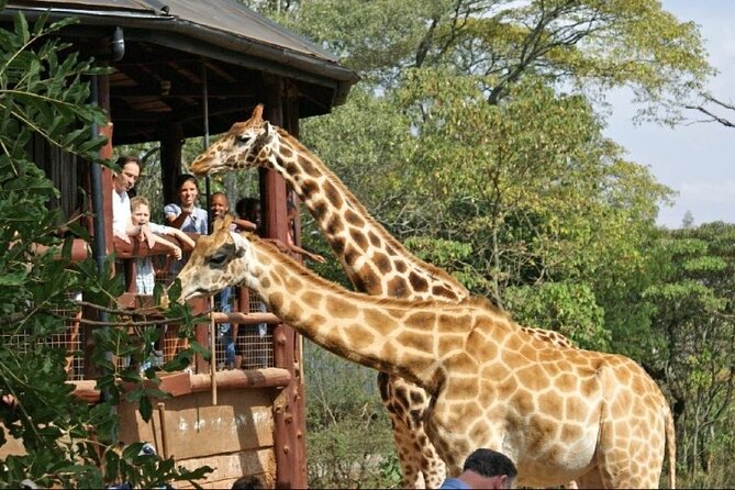 Nairobi National Park and Giraffe Center Day Tour - Practical planning for the day