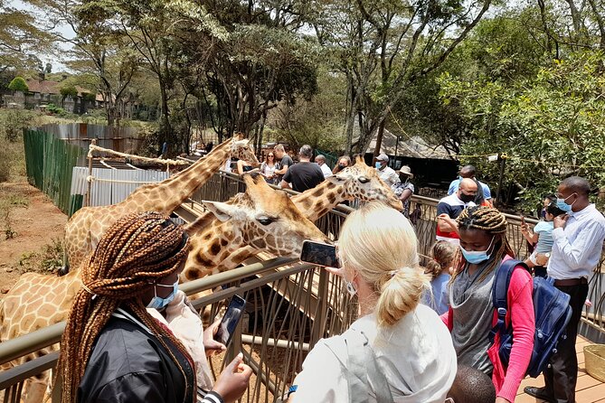 Nairobi: National park, baby Elephant, Giraffe center - Is $44 a good deal?