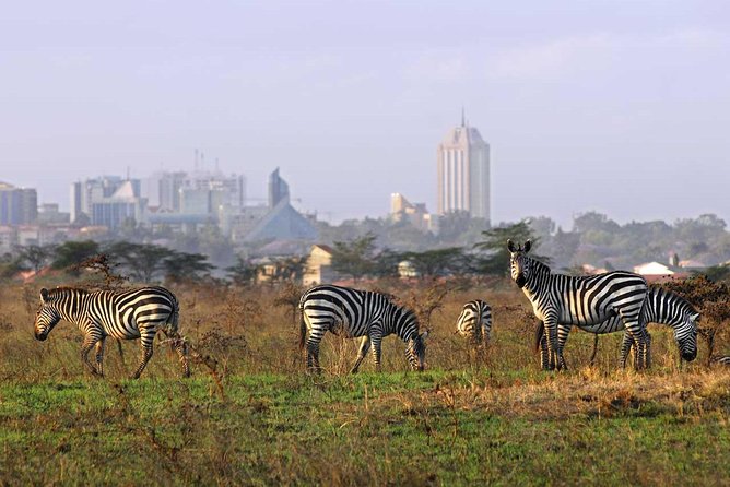Nairobi National Park, Baby Elephant Orphanage and Giraffe Center - Should You Book This Nairobi Wildlife Tour?