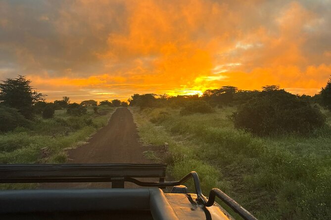 Nairobi National Park Daily Game drives. - Who will get the most from this safari