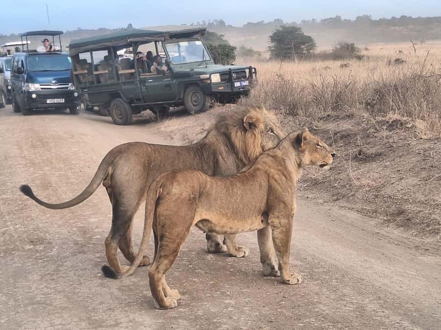 Nairobi National Park Day Guided Tour - Who will enjoy this morning safari most