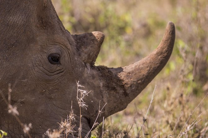 Nairobi National Park Day Tour - Is $170 a fair price?