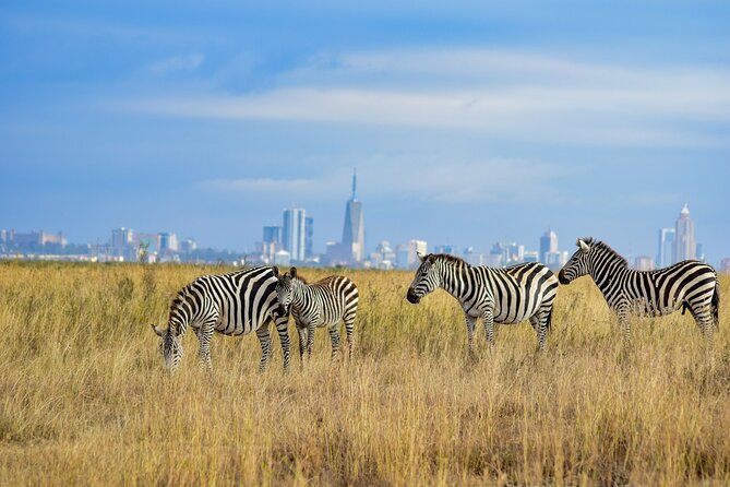 Nairobi: National Park Early Morning or Afternoon Game Drive - The short drive into the park