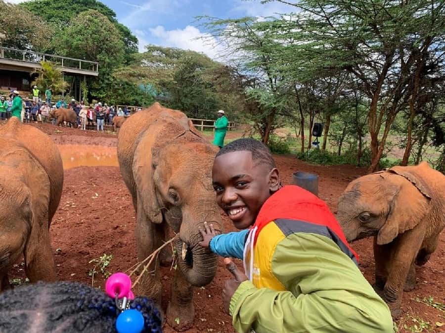 Nairobi National Park, Elephant Orphanage and Giraffe Center - A 45-minute community and craft stop