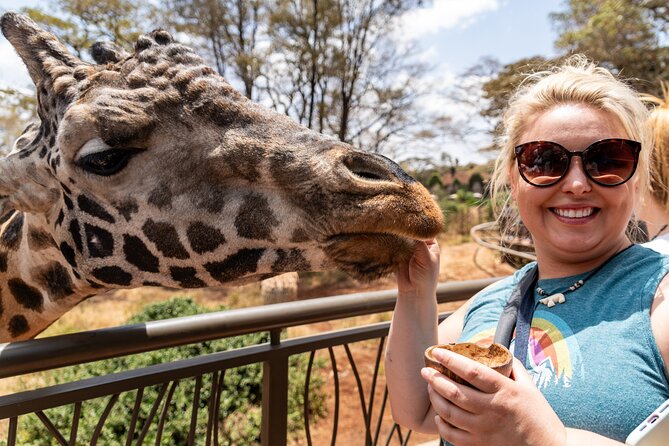 Nairobi National Park, Elephant Orphanage and Giraffe Centre - Lunch breaks up the long day