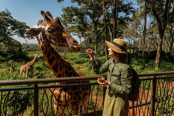 Nairobi National Park, Elephant Orphanage and Giraffe Centre - Feeding giraffes at the Giraffe Centre