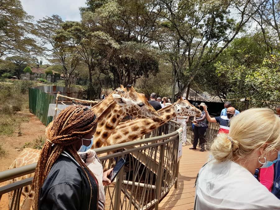 Nairobi: National Park, Elephant Orphanage, and Giraffe Tour - Kobe Tough Beads, recycled materials, and local craft