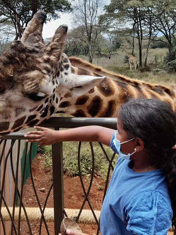 Nairobi: National Park, Elephant Orphanage, and Giraffe Tour - What to bring and what to leave behind