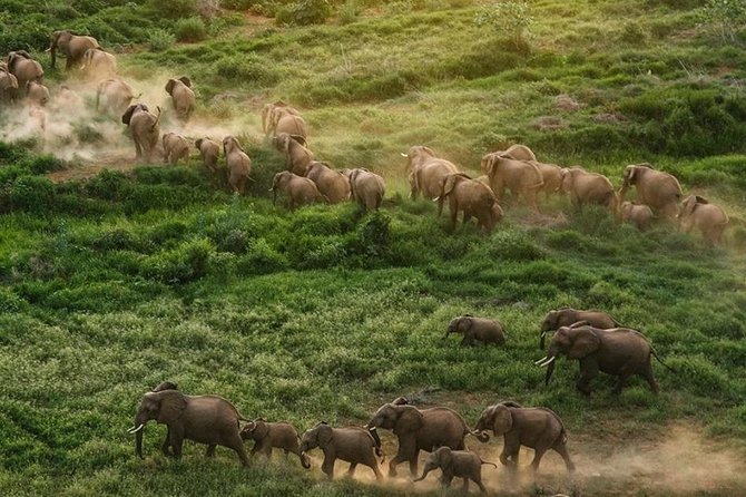 Nairobi National Park,Elephant Orphanage, Giraffe Center and Karen Blixen Museum - The timing, vehicle, and group size