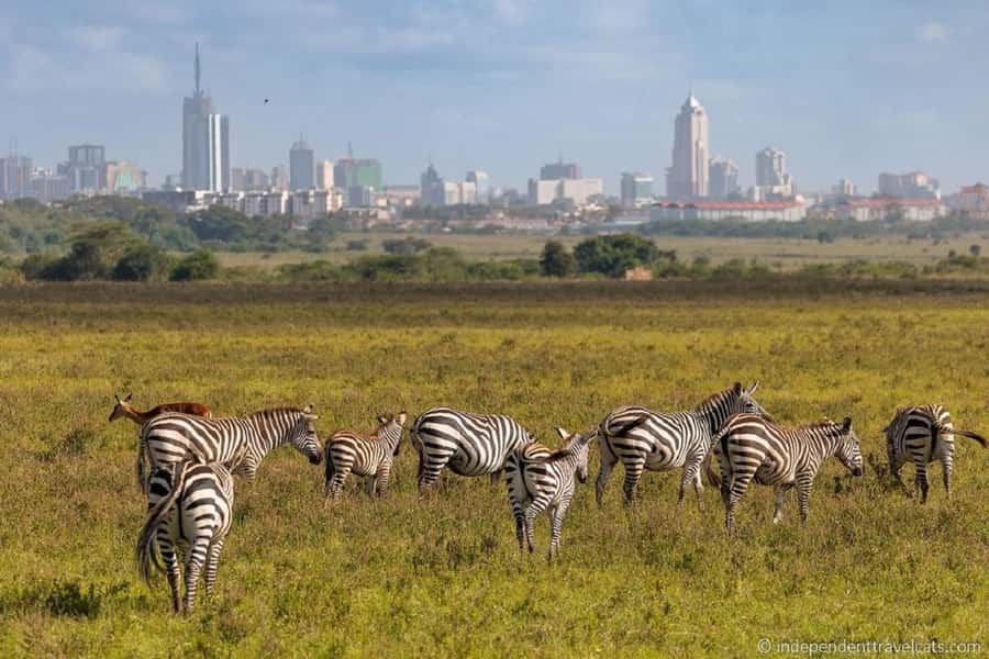 Nairobi: National Park, Elephant Orphanage, & Giraffe Centre - Kazuri or Kobe beads after the wildlife stops