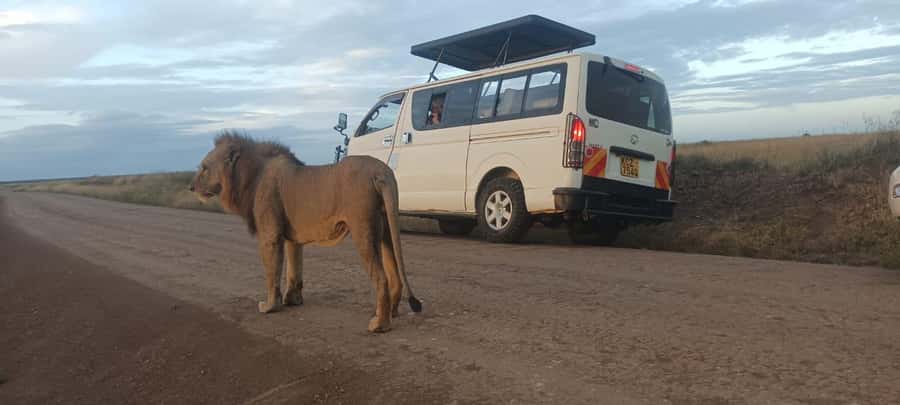Nairobi: National Park, Elephant Orphanage, & Giraffe Centre - Timing, transport, and guide support