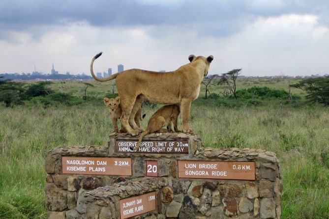 Nairobi National Park, Elephant Orphanage, Giraffe Centre Tour - Key points to know before booking