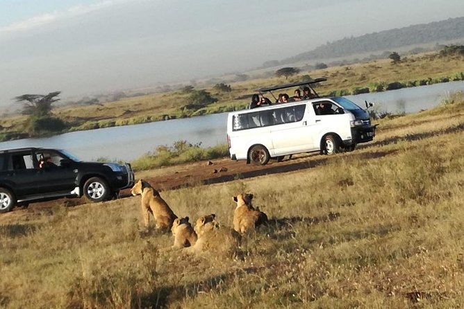 Nairobi National Park, Elephant Orphanage, Giraffe Centre Tour - What the guide can add to the day
