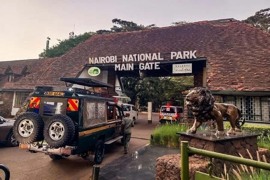 Nairobi: National Park, Elephant Orphanage & Giraffe Tour - How the day fits together