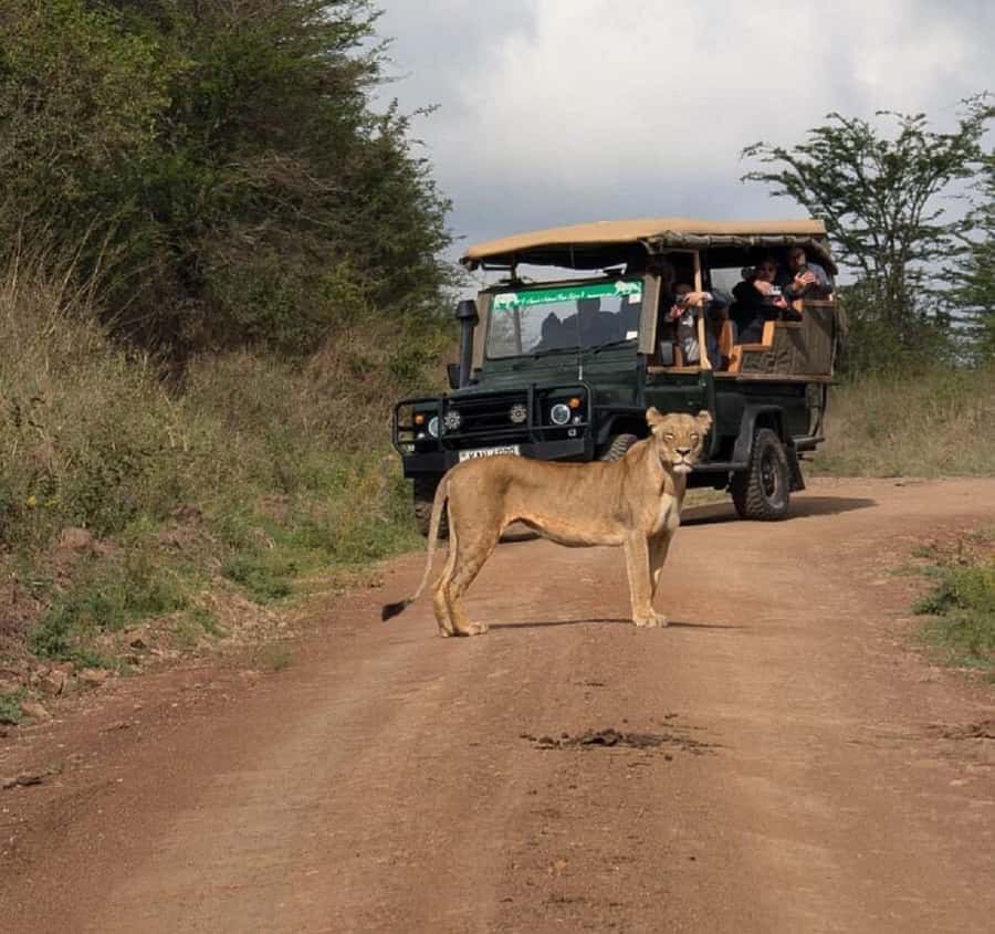 Nairobi: National Park, Elephant Orphanage & Giraffe Tour - Nairobi National Park for four hours