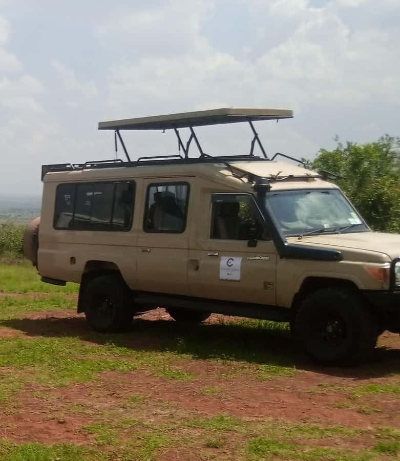 Nairobi National Park Full-Day Tour: Private 4WD with Guide - David Sheldrick Wildlife Trust: check this stop carefully