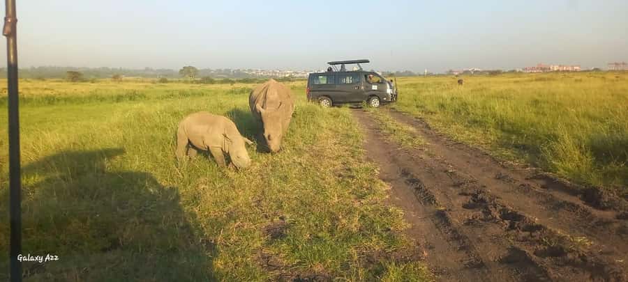 Nairobi national park game drive - Booking flexibility and practical details