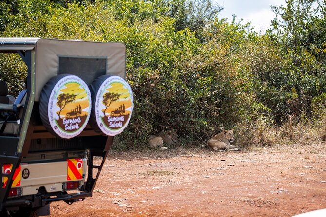 Nairobi National Park Game Drive - Shared Experience in Open Jeep - What the three-hour drive is really like