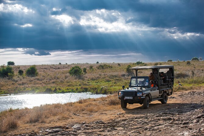 Nairobi National Park Game Drive - Shared Experience in Open Jeep - Sunrise, afternoon, or sunset?